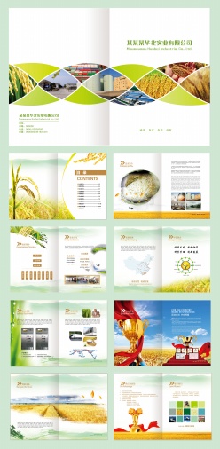 画册设计-粮食农业画册模板设计