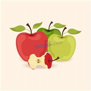 矢量食品果蔬-青红苹果静态插画矢量