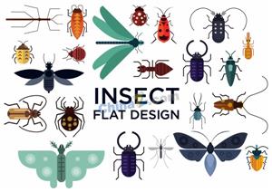 矢量动植物-扁平化昆虫设计矢量素材