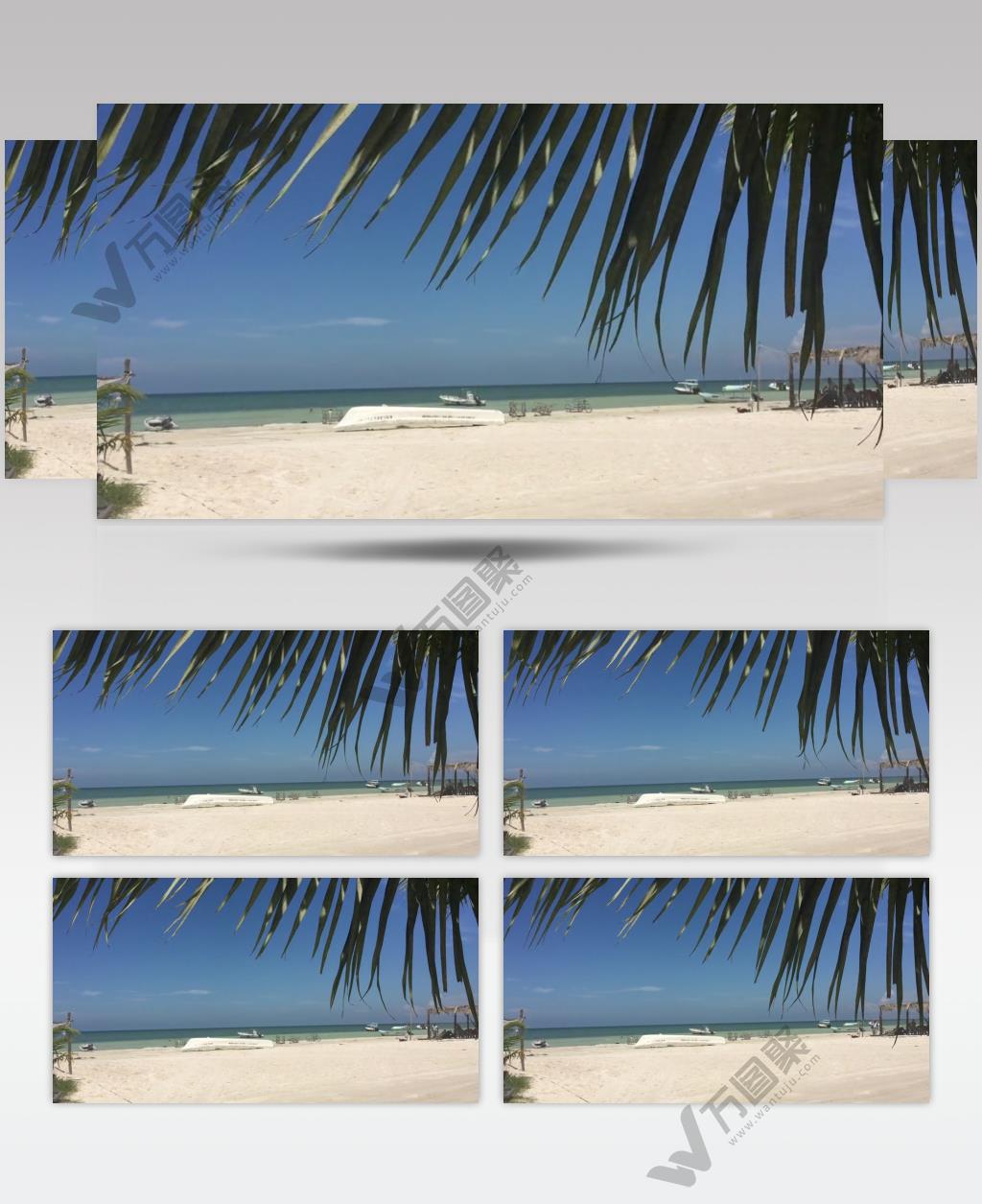 沙滩椰树 款A19145沙滩无音乐 led视频素材
