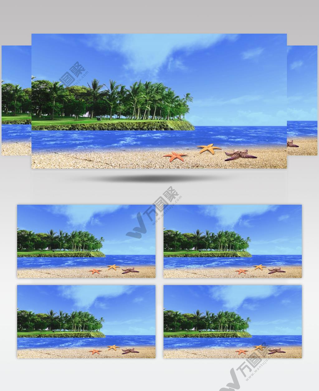 沙滩椰树 款A19104沙滩椰树林有音乐_batch led视频背景下载