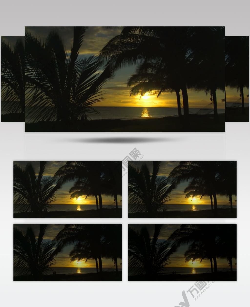 沙滩椰树 款A19137夕阳海岸椰树无音乐_batch led视频背景下载