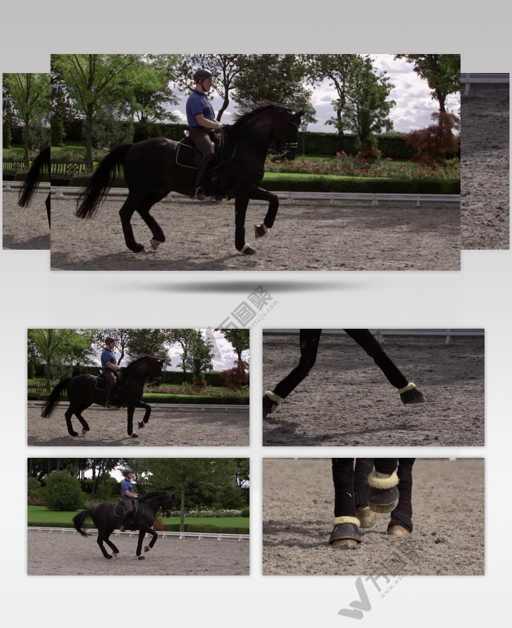 马奔跑慢动作 骑马视频奔马视频
