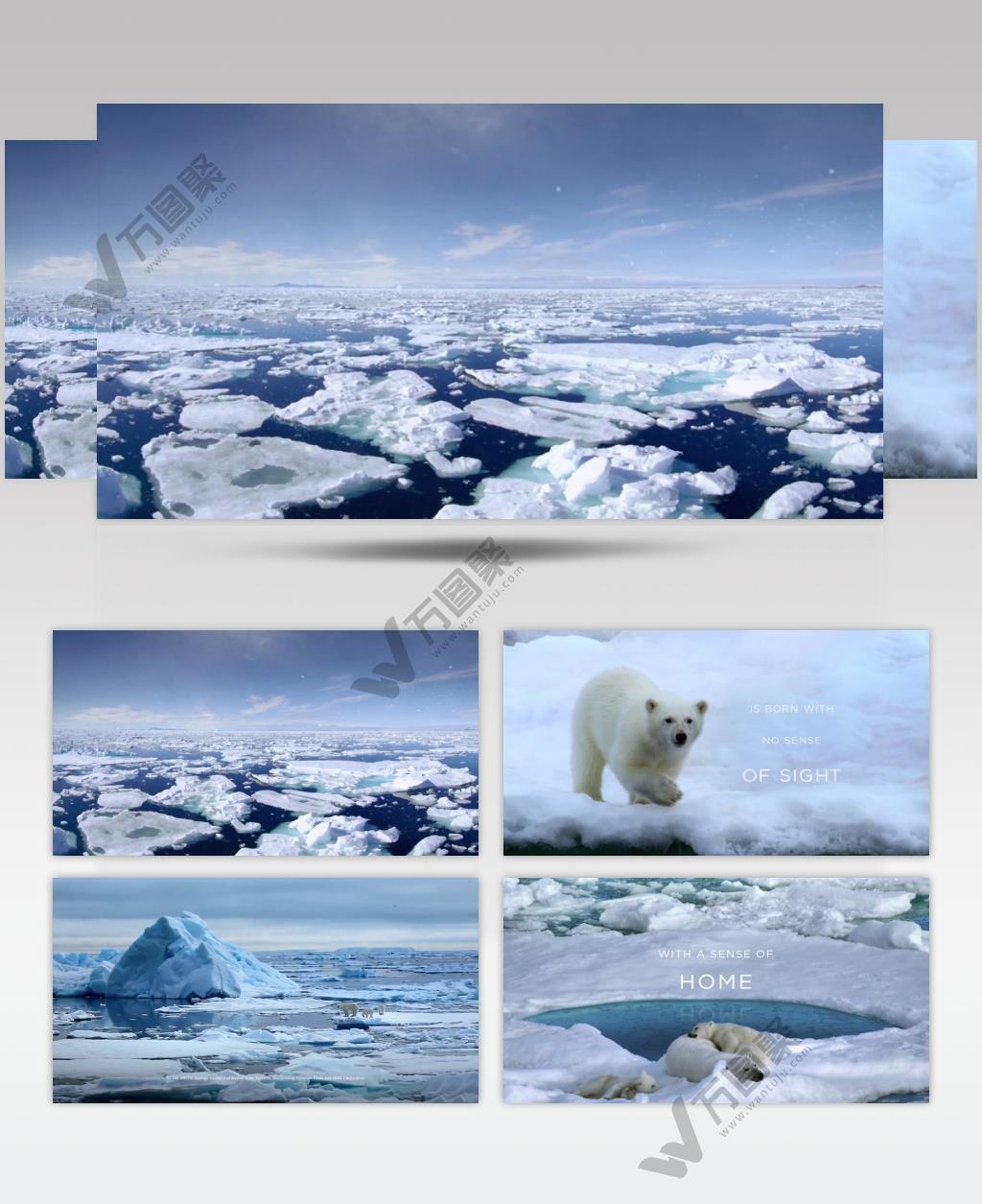 Coca-Cola环保广告 北极熊篇.1080p 欧美高清广告视频