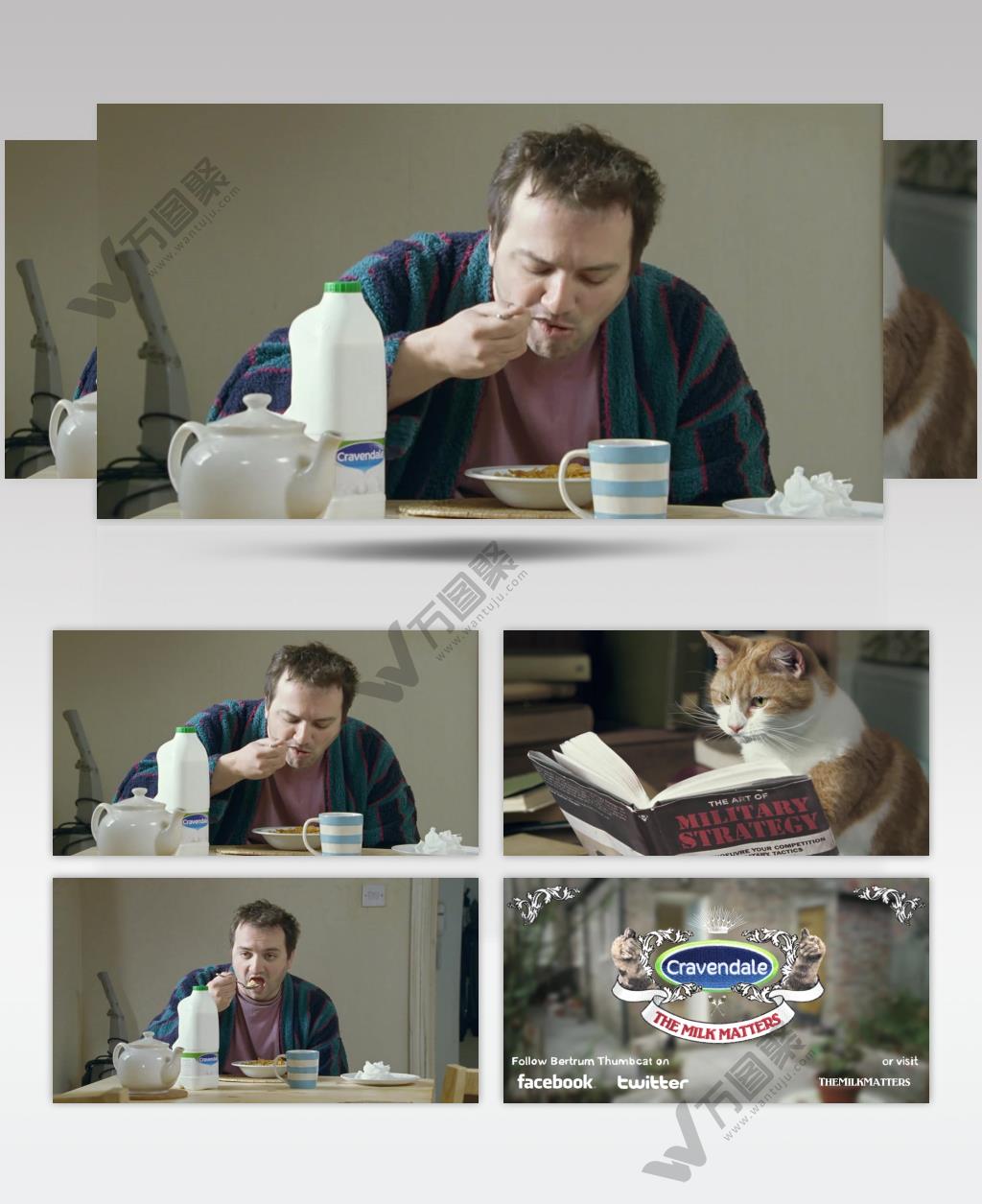 Cravendale 牛奶广告猫咪篇.1080p 欧美高清广告视频