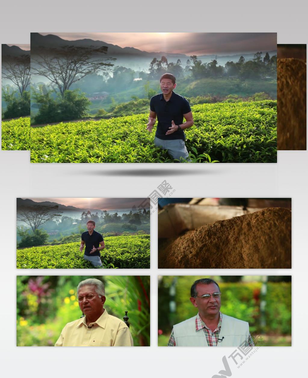 斯里兰卡茶业 公司宣传片 企业宣传片_batch 视频下载实拍广告宣传片