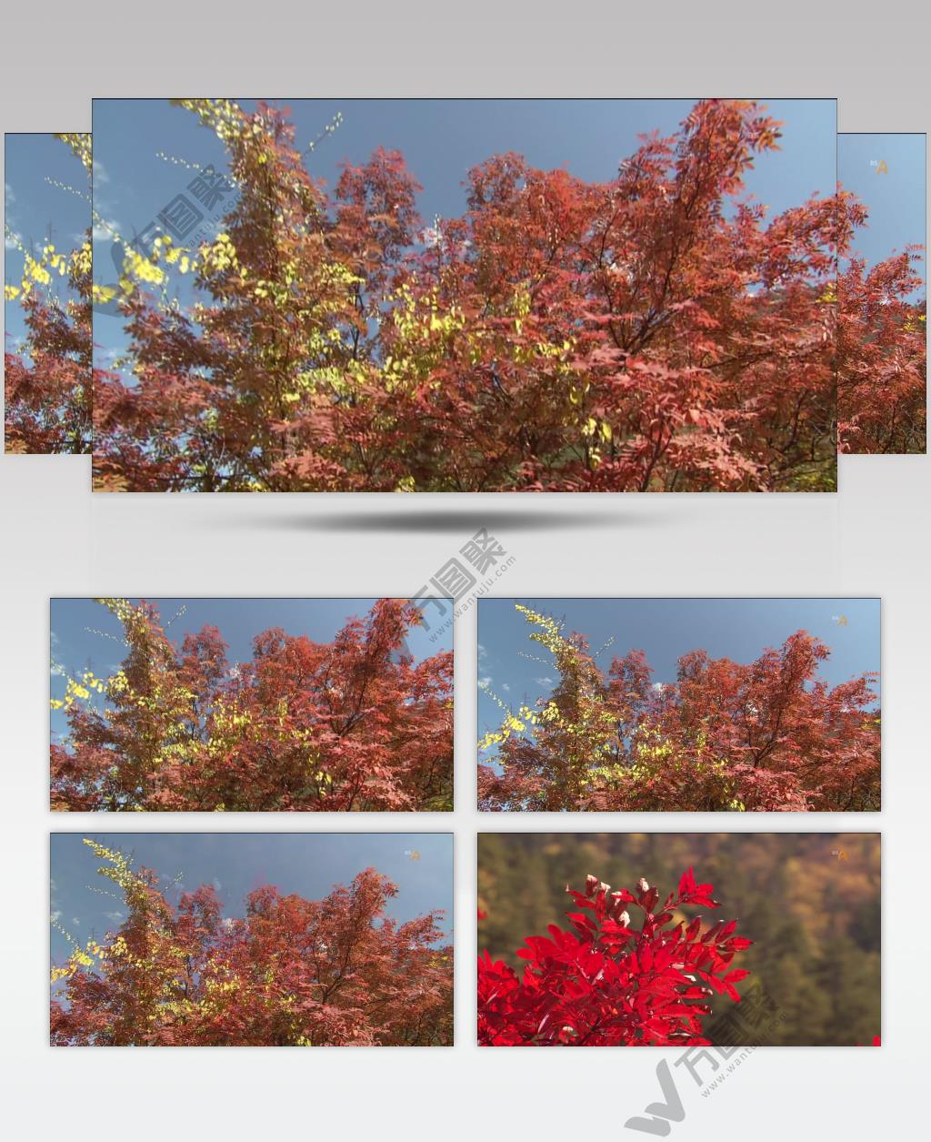 秋天红叶中国名胜风景标志性景点高清视频素材