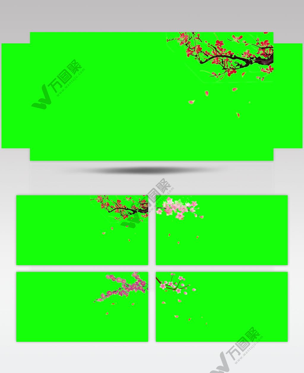 绿底抠图花瓣飘落 多个式样
