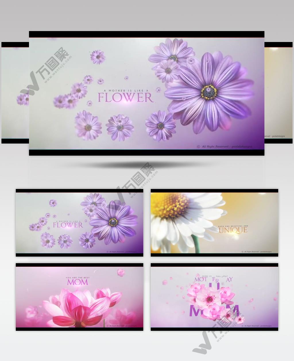 AE 15063 母亲节标题展示 ae素材