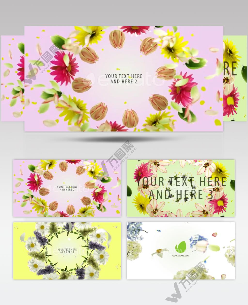 AE 15406 花瓣纷飞标题展示 ae素材源文件