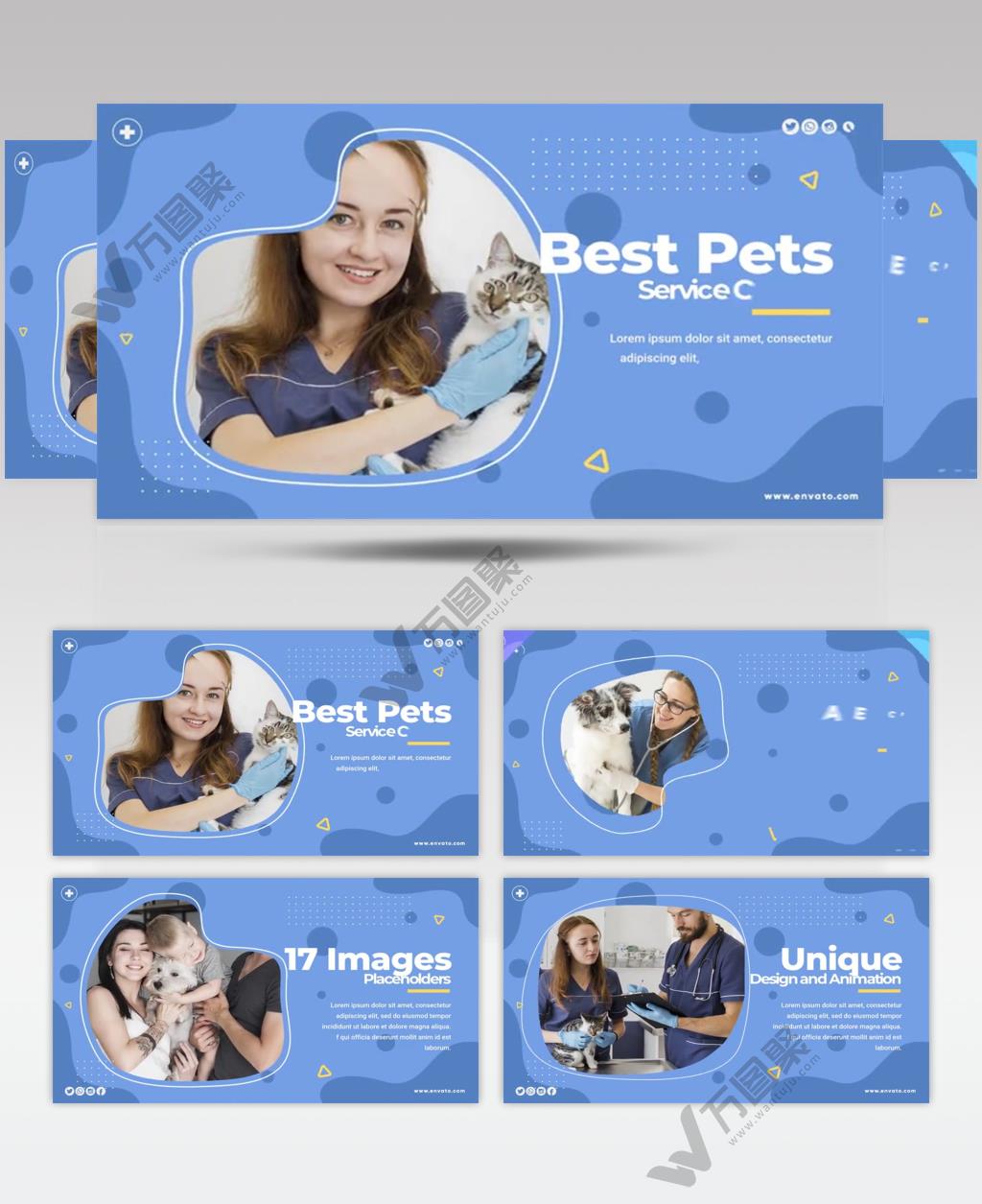 AE 15473 宠物护理中心 ae素材源文件