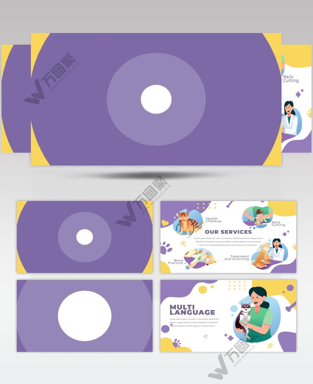 AE 16769 宠物护理 ae素材源文件