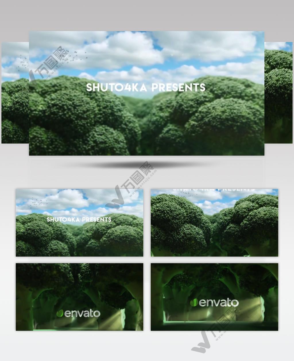 16343 西兰花标志片头