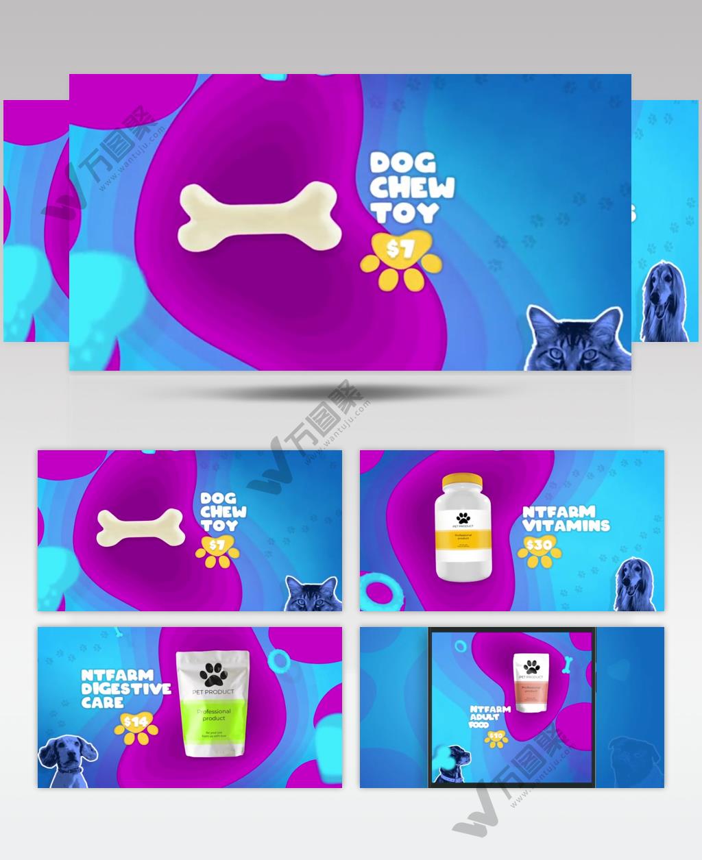 AE 16440 宠物食品宣传 ae素材源文件