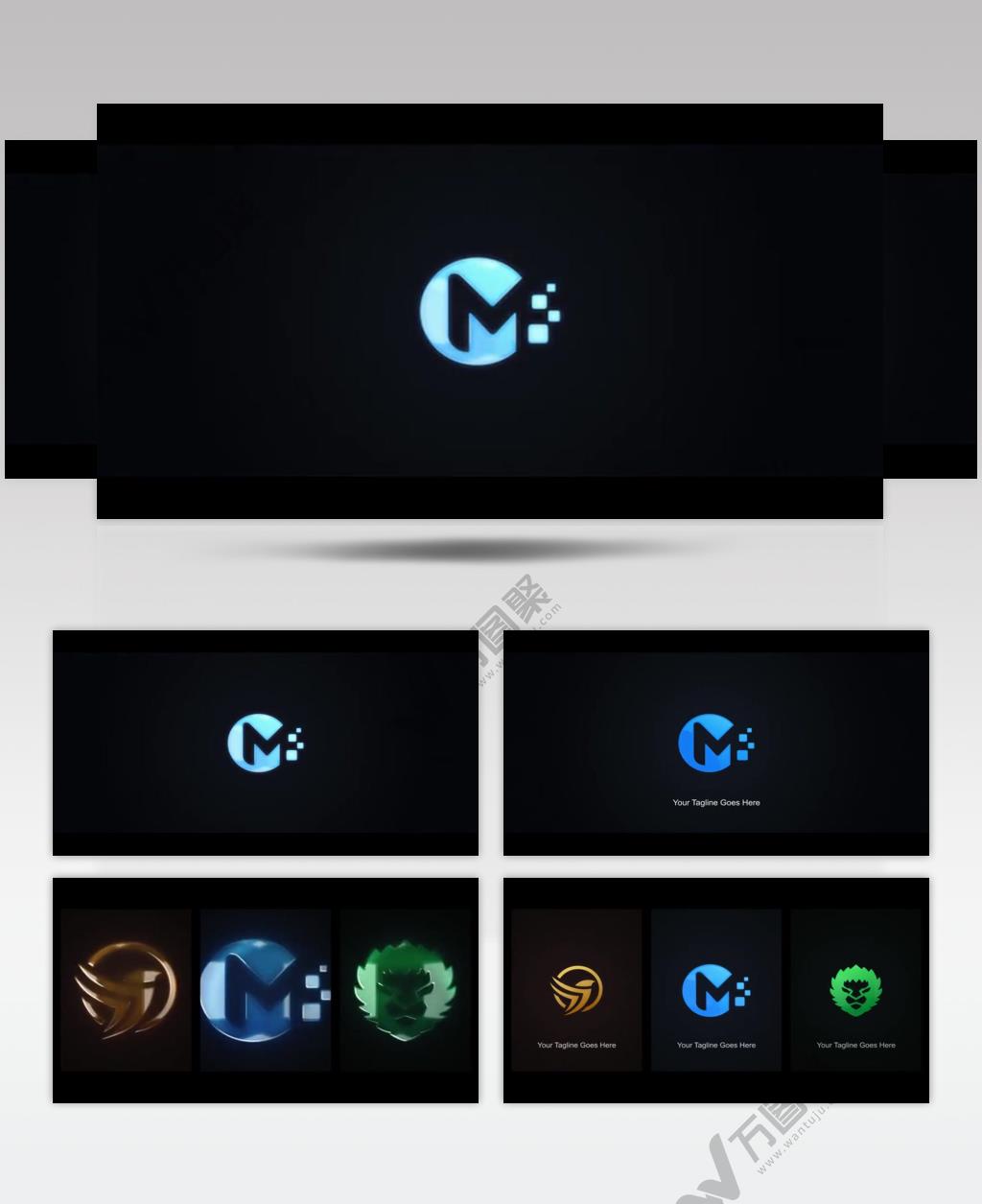 16451 能量标志展示