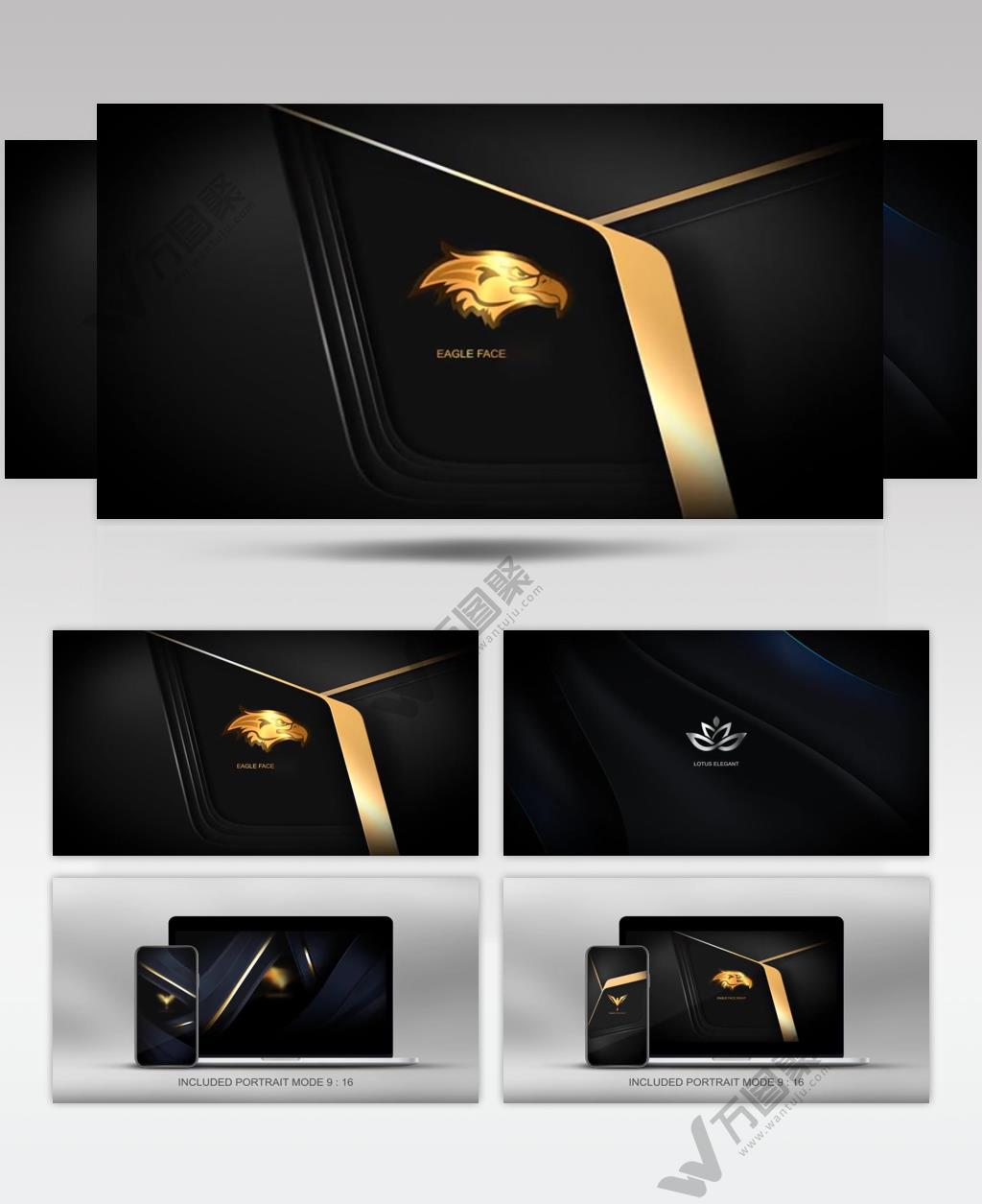 17473 优雅豪华标志片头