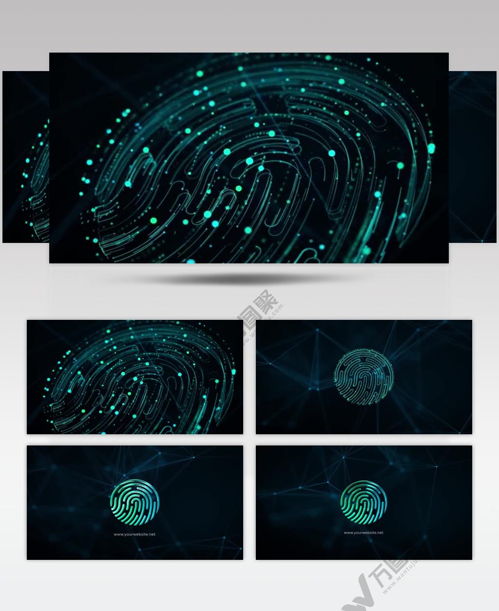 16972 指纹标志展示