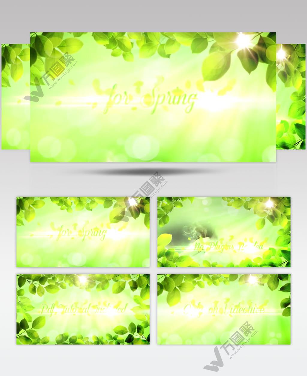 15614 绿意盎然片头