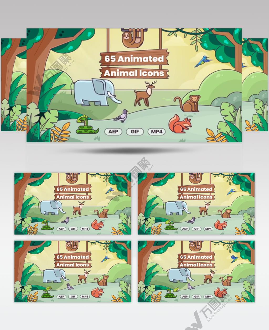 AE 16968 动物动画图标 ae素材源文件