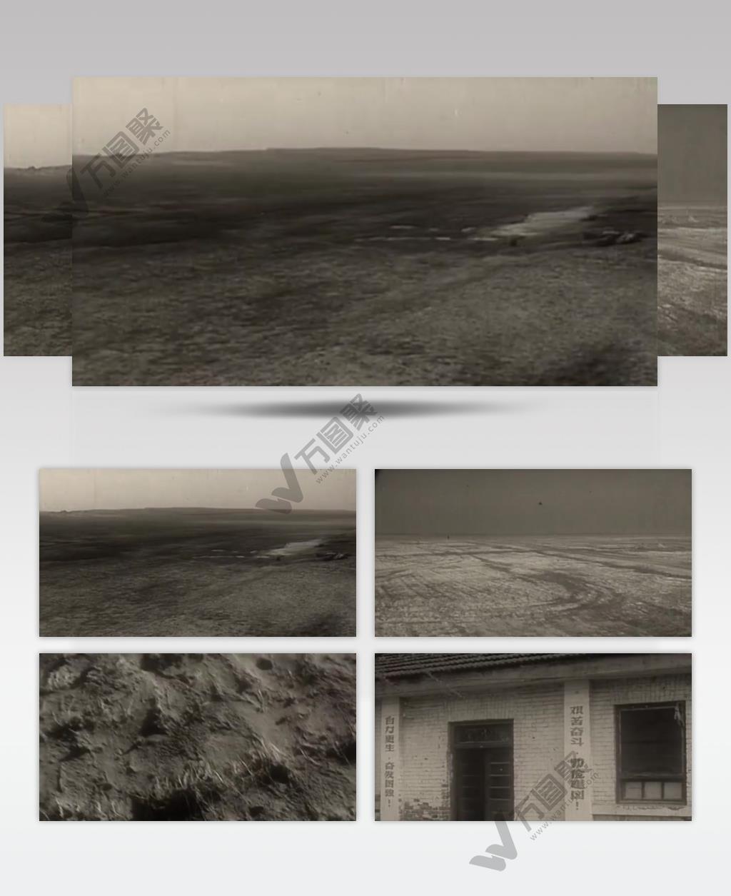 焦裕禄60年代的兰考盐碱地