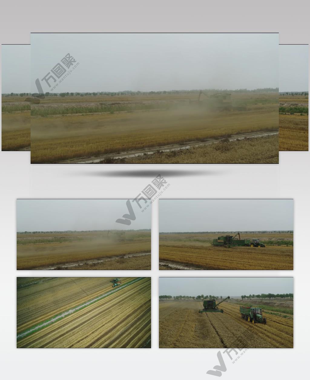 粮食小麦丰收农业农机农田