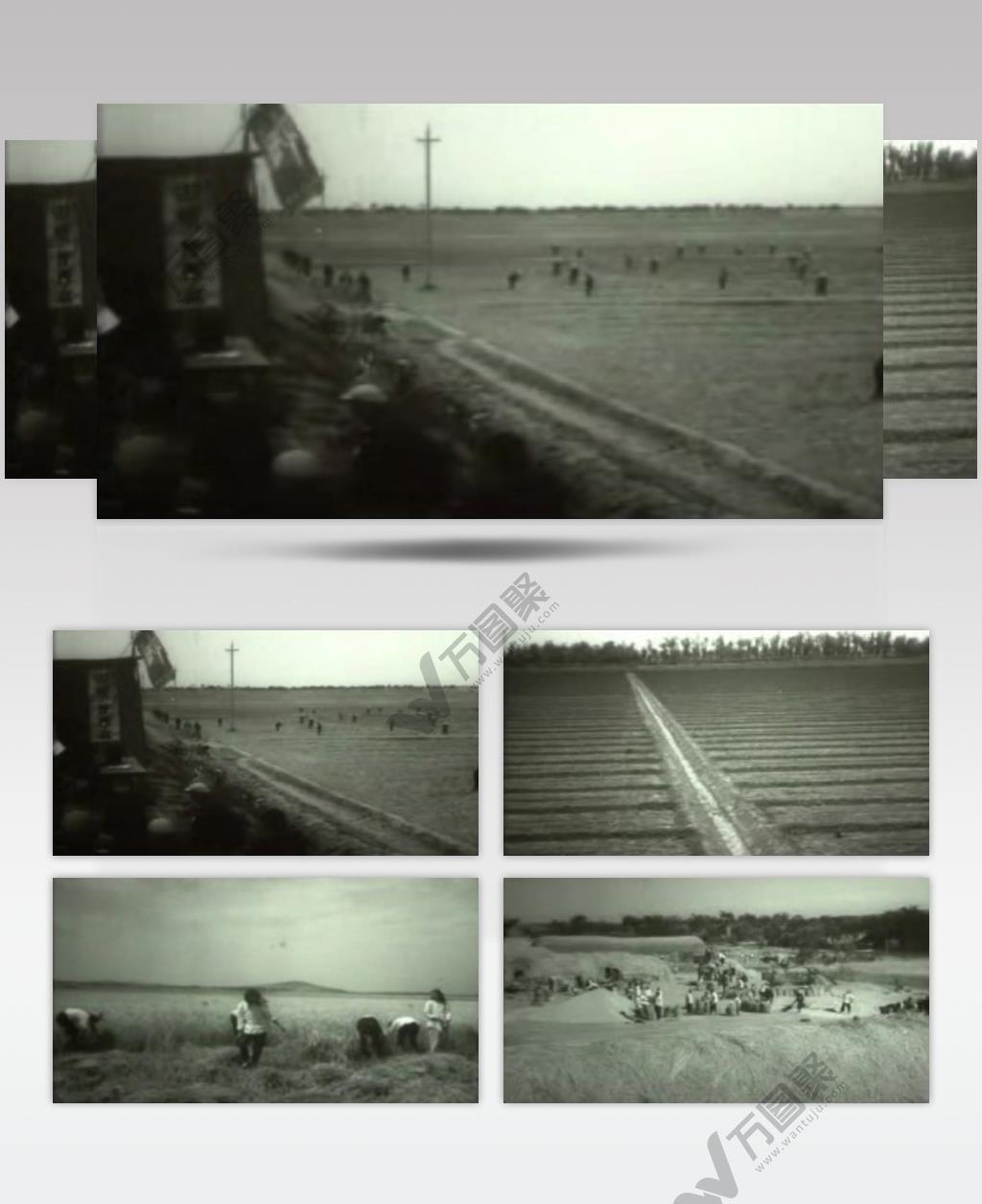 50年代大跃进时期的农业生产