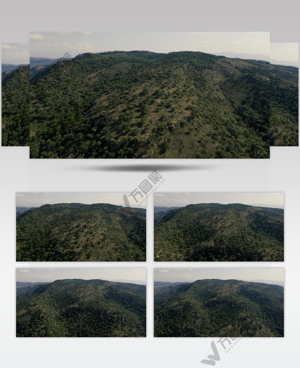 空中拍摄的满是树木的群山