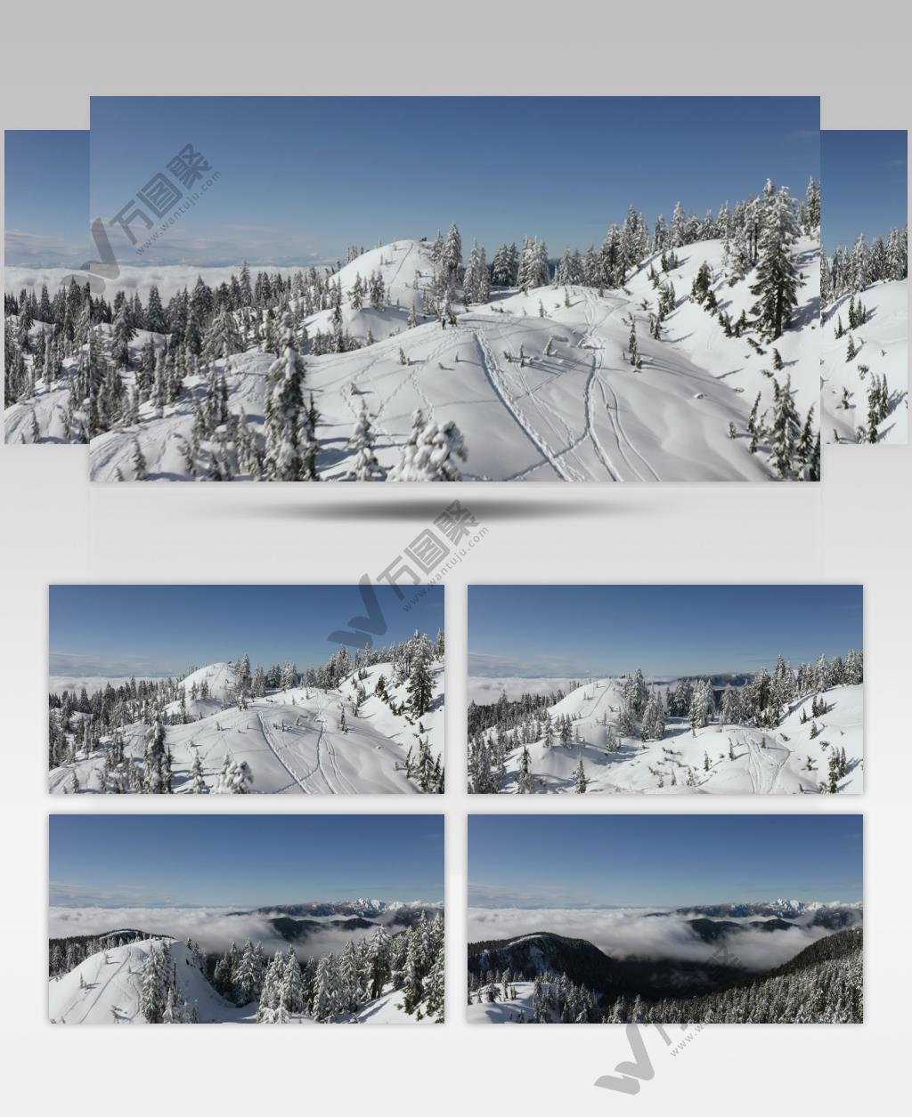 白雪覆盖的山脉和松林的顶部