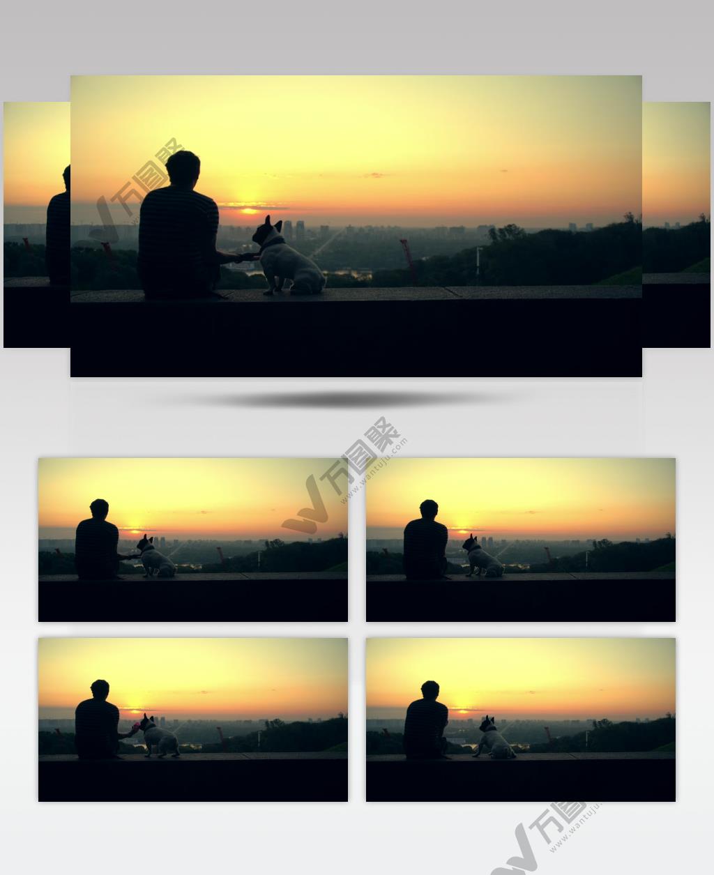 男人带着他的狗看着地平线上的日落