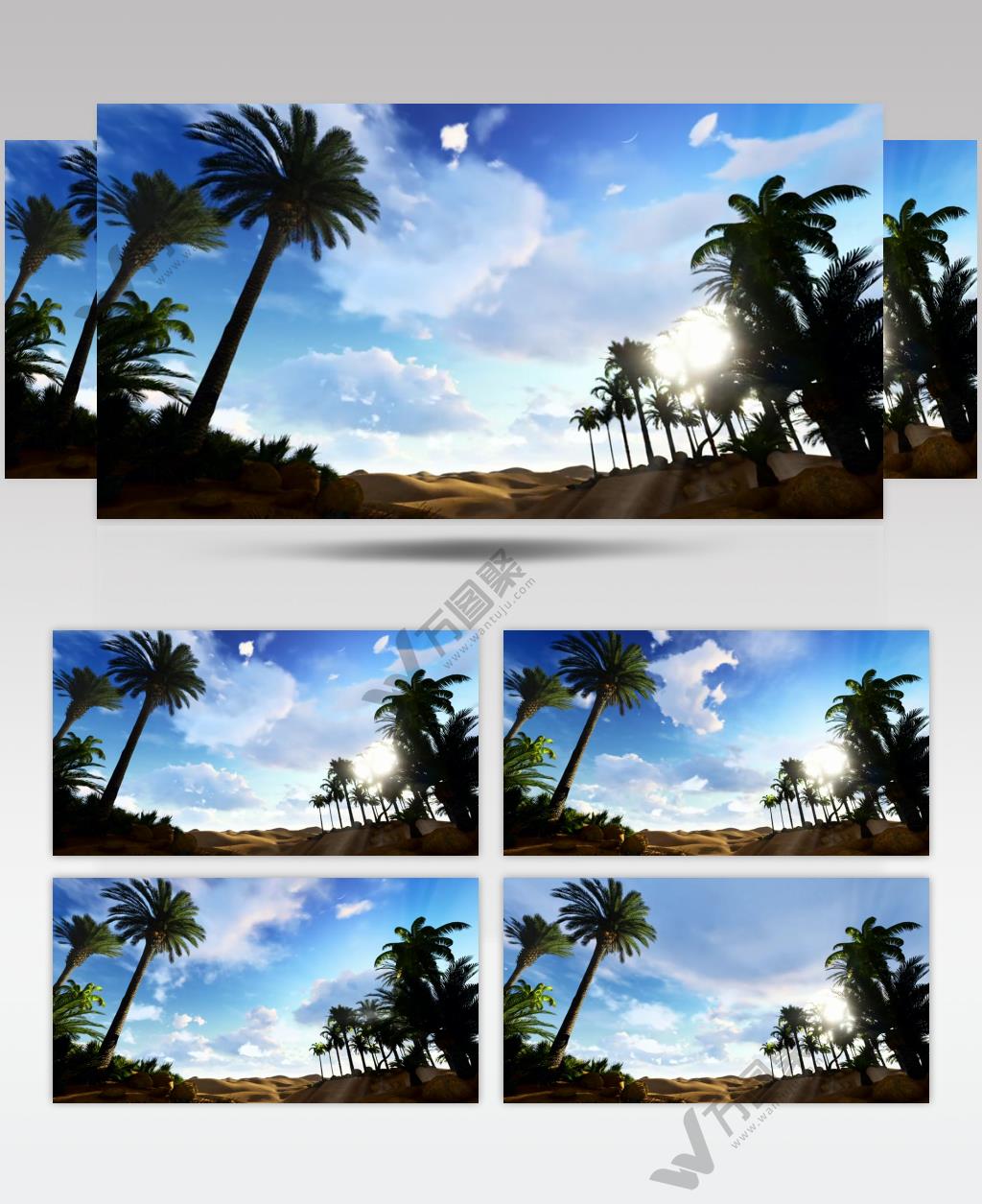 延时摄影埃及沙漠绿洲中的棕榈树