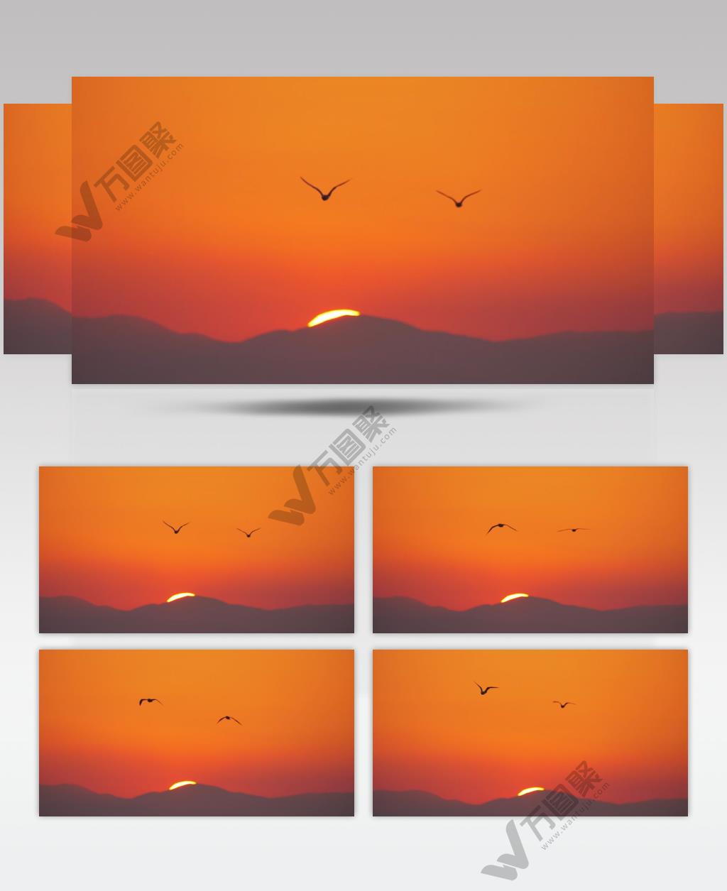 海鸥在明亮的橙色天空下飞翔