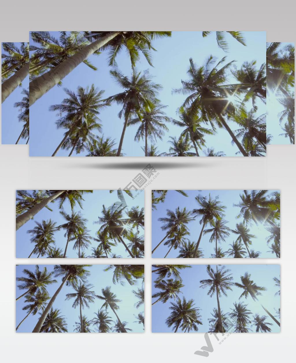 在阳光明媚的日子里，海滩上的棕榈树和天空