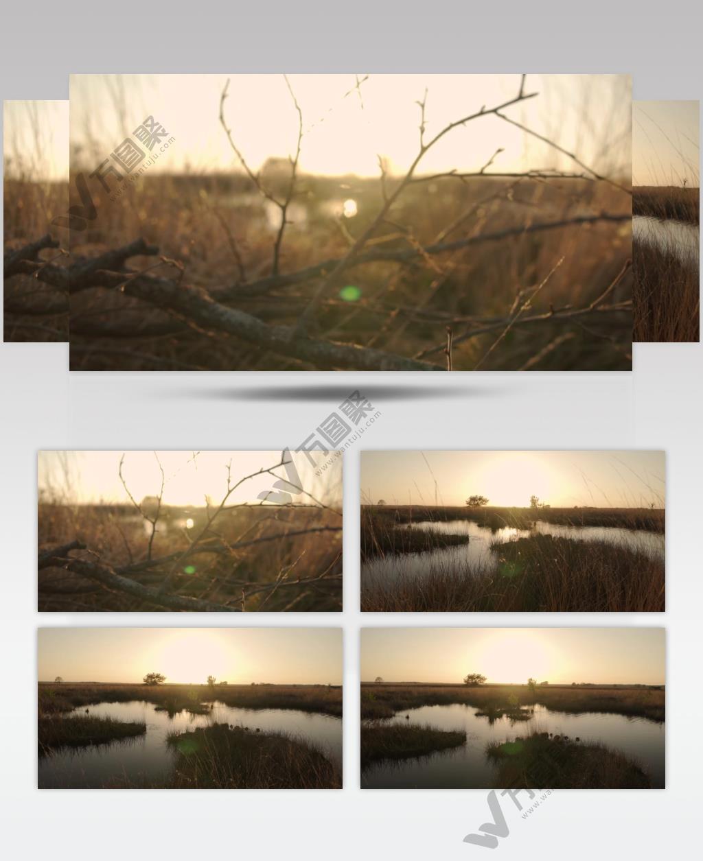 天际线后面草原上的日落