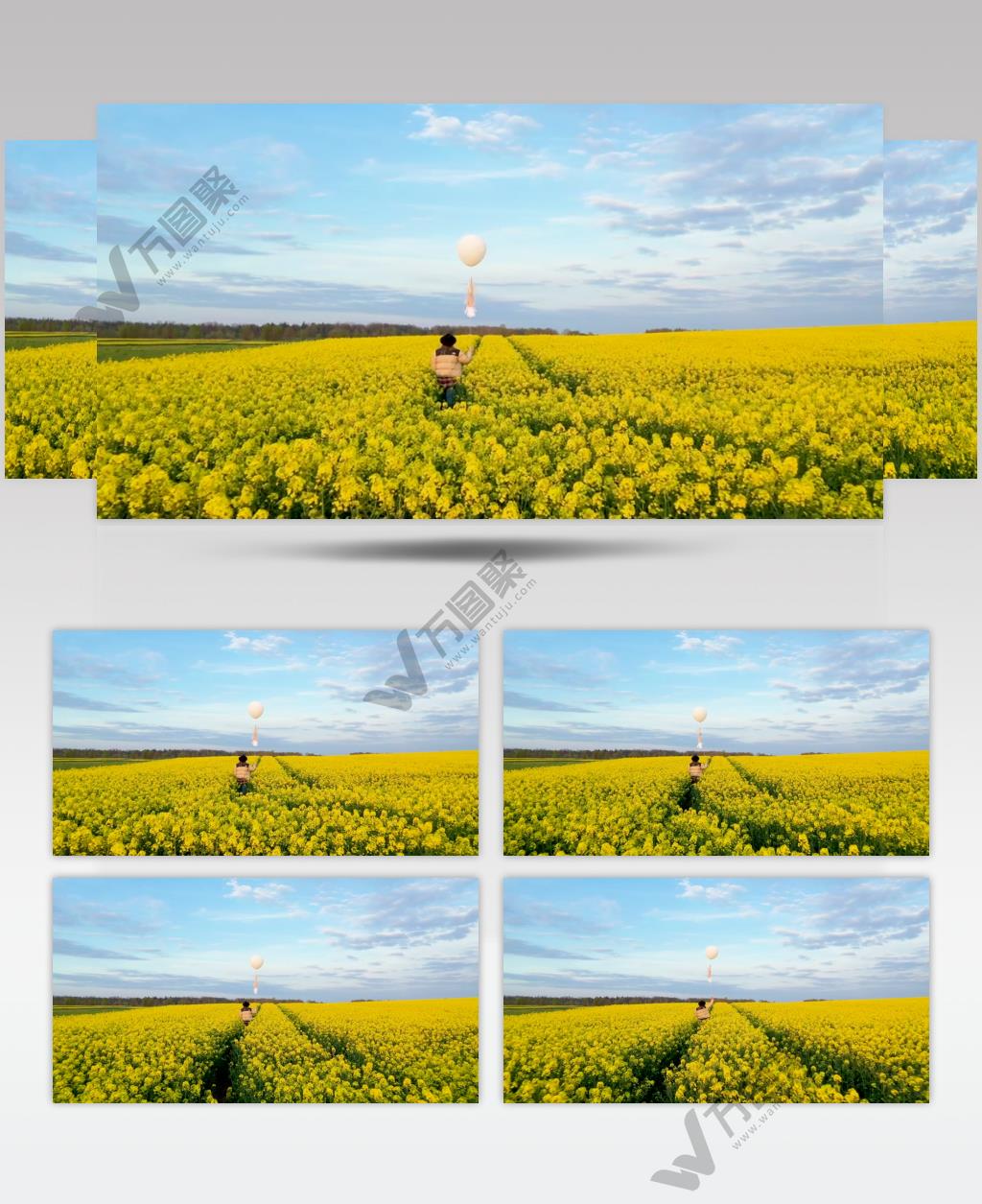 一个小孩手拿着一个白色气球在花海上行走