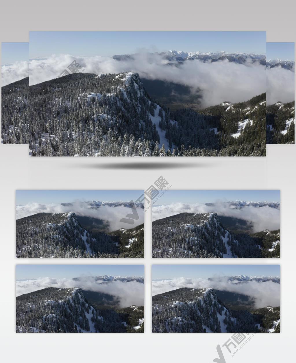 航拍加拿大一个阳光明媚的天空下雪山上满是松树