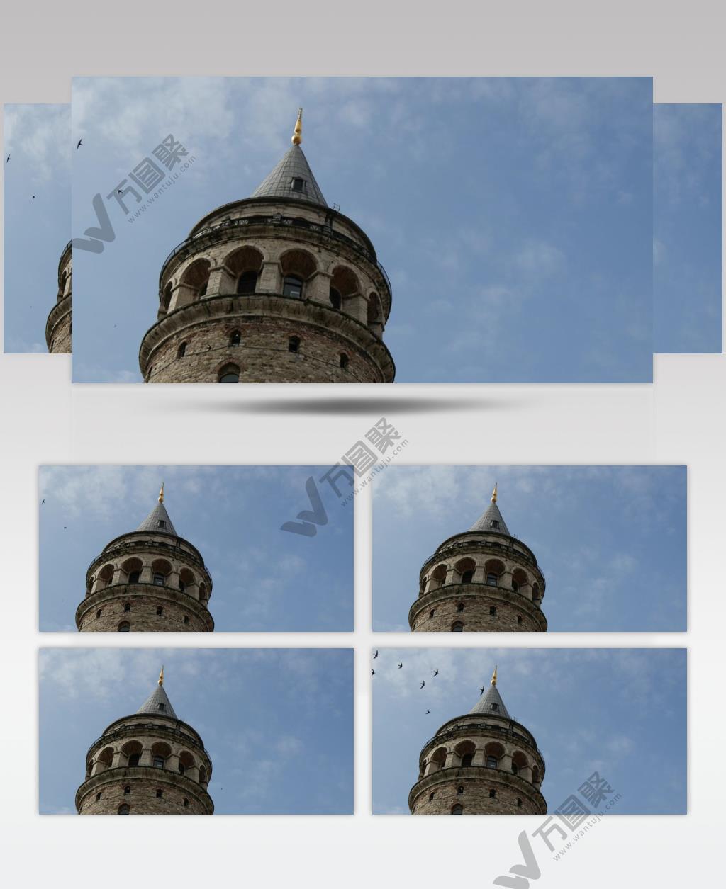 伊斯坦布尔 鸟 城堡 天空 塔 