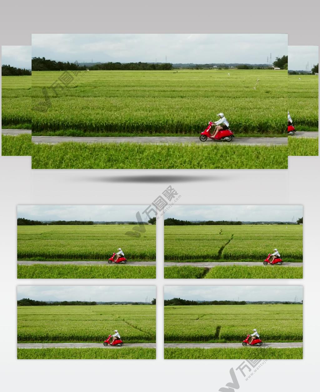 骑着红色的摩托车穿过绿色的农田