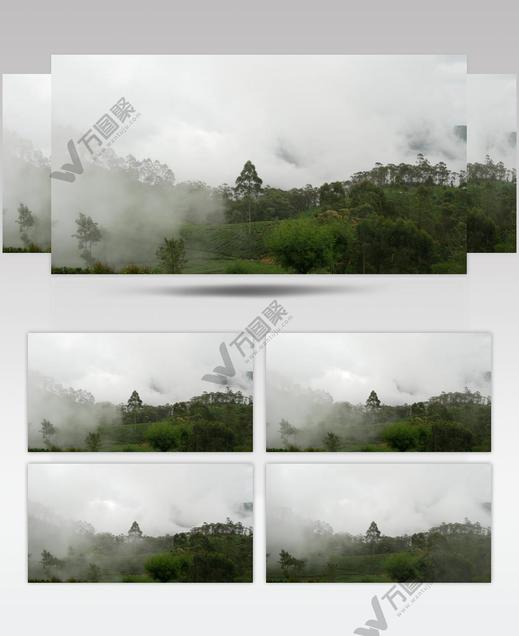 实拍茶山上云雾缭绕的风景