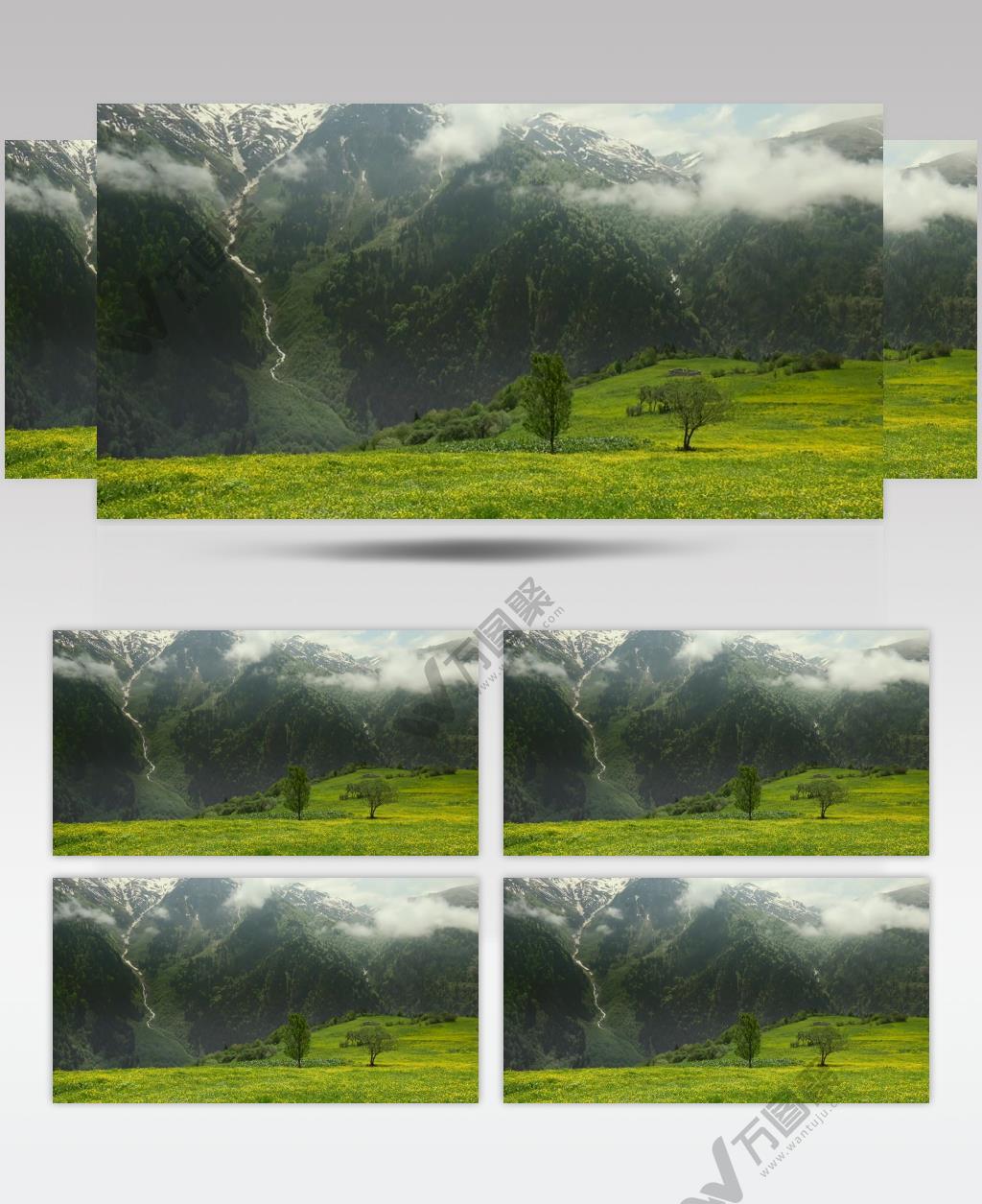 延时摄影美丽的森林草地和山脉特写