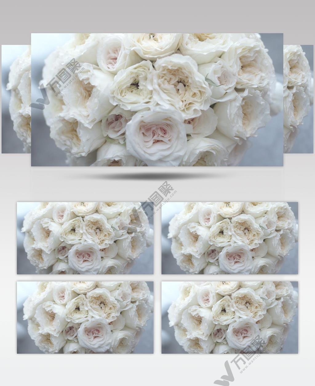 高清实拍一捧白玫瑰特写