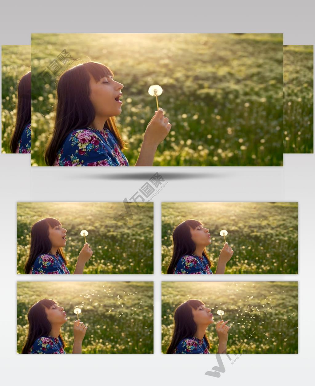 在草地上吹蒲公英的美女