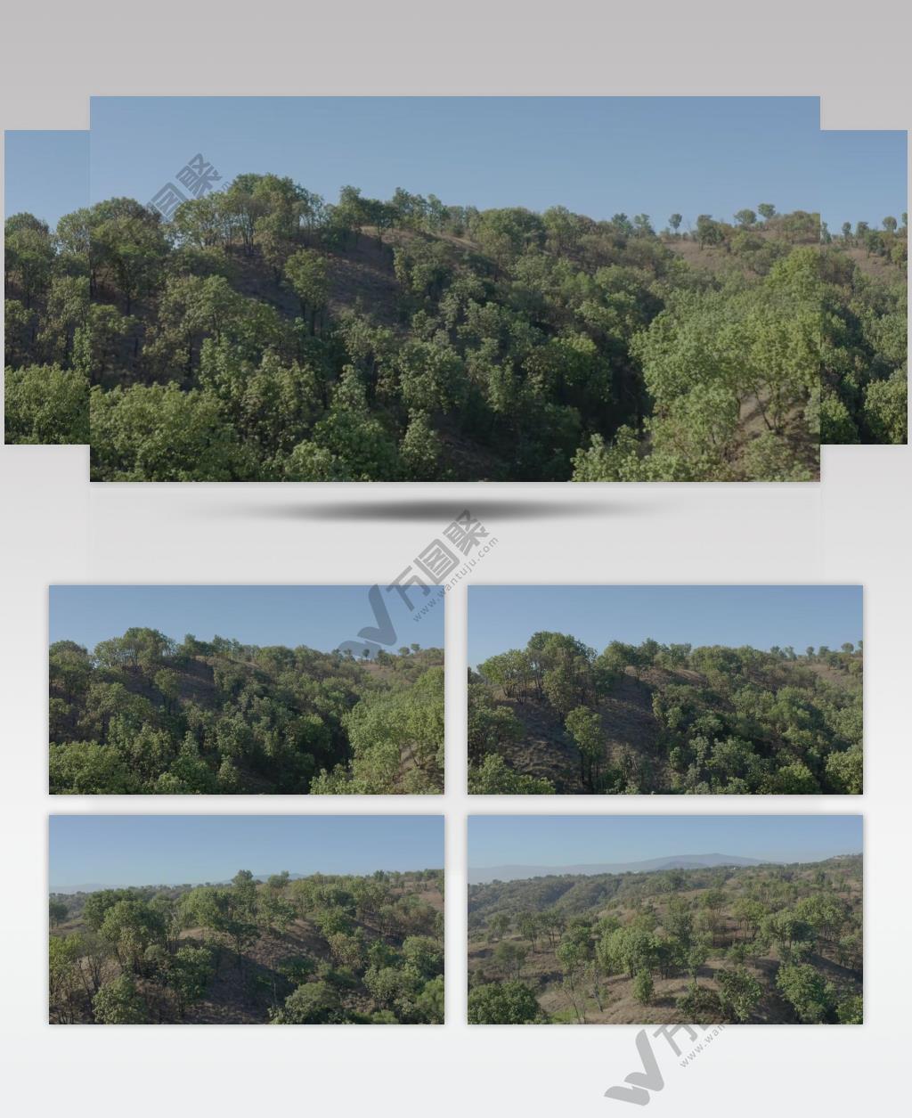 航拍阳光下的山脉森林实拍视频