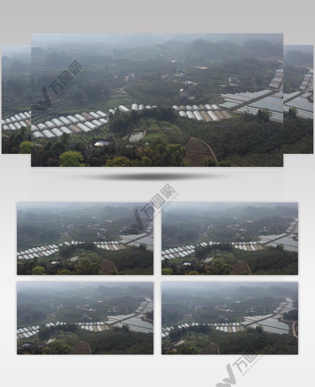 梯田 农田  农村 高清视频素材 航拍  大棚蔬菜 种植