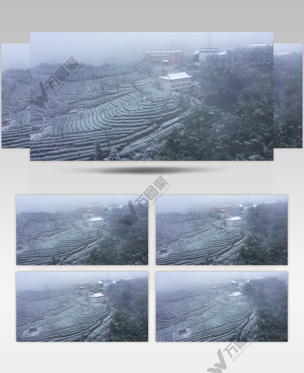 鸟瞰 航拍视频素材 雪景 茶山 山川 山峦 茶 