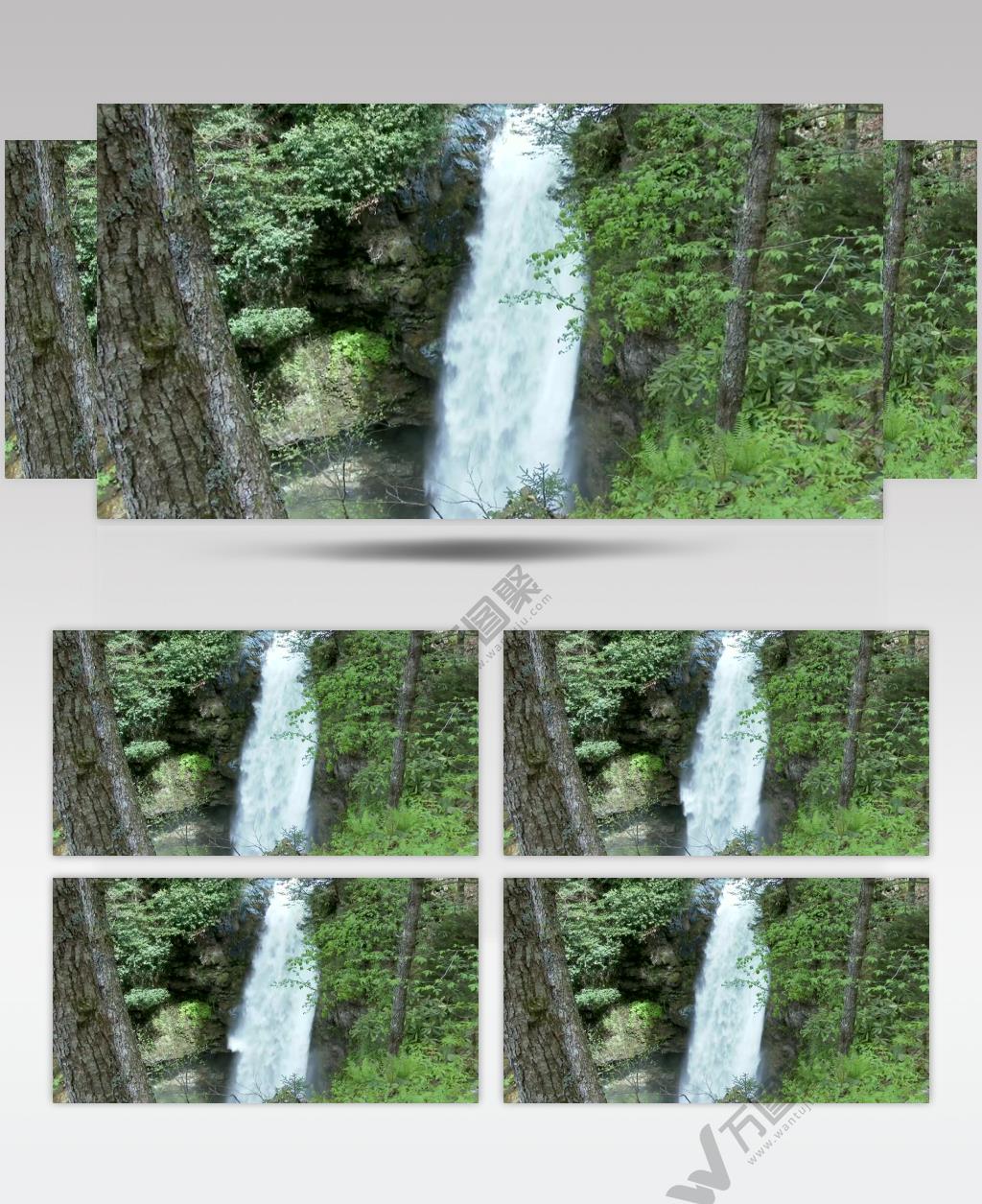 树林里的瀑布实拍视频