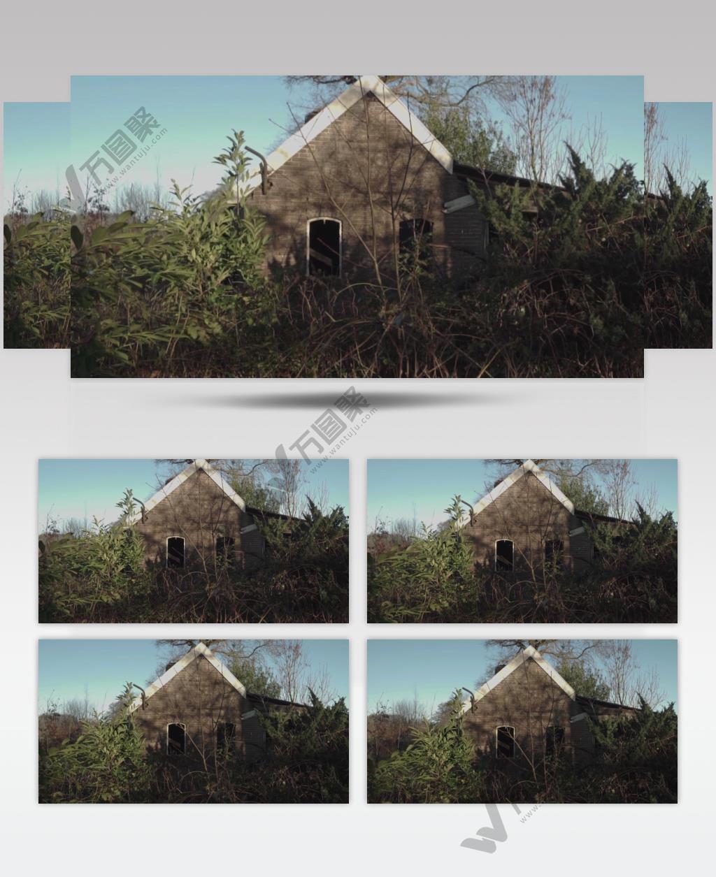 森林中的废弃房屋实拍视频