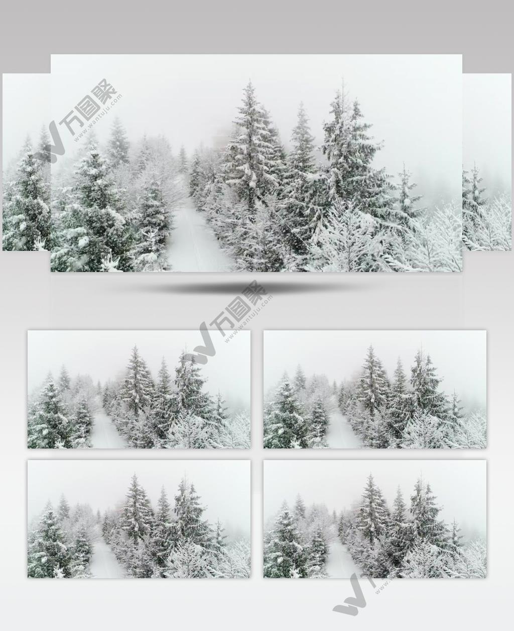 冬天冰冻的白色森林中下雪美景实拍视频