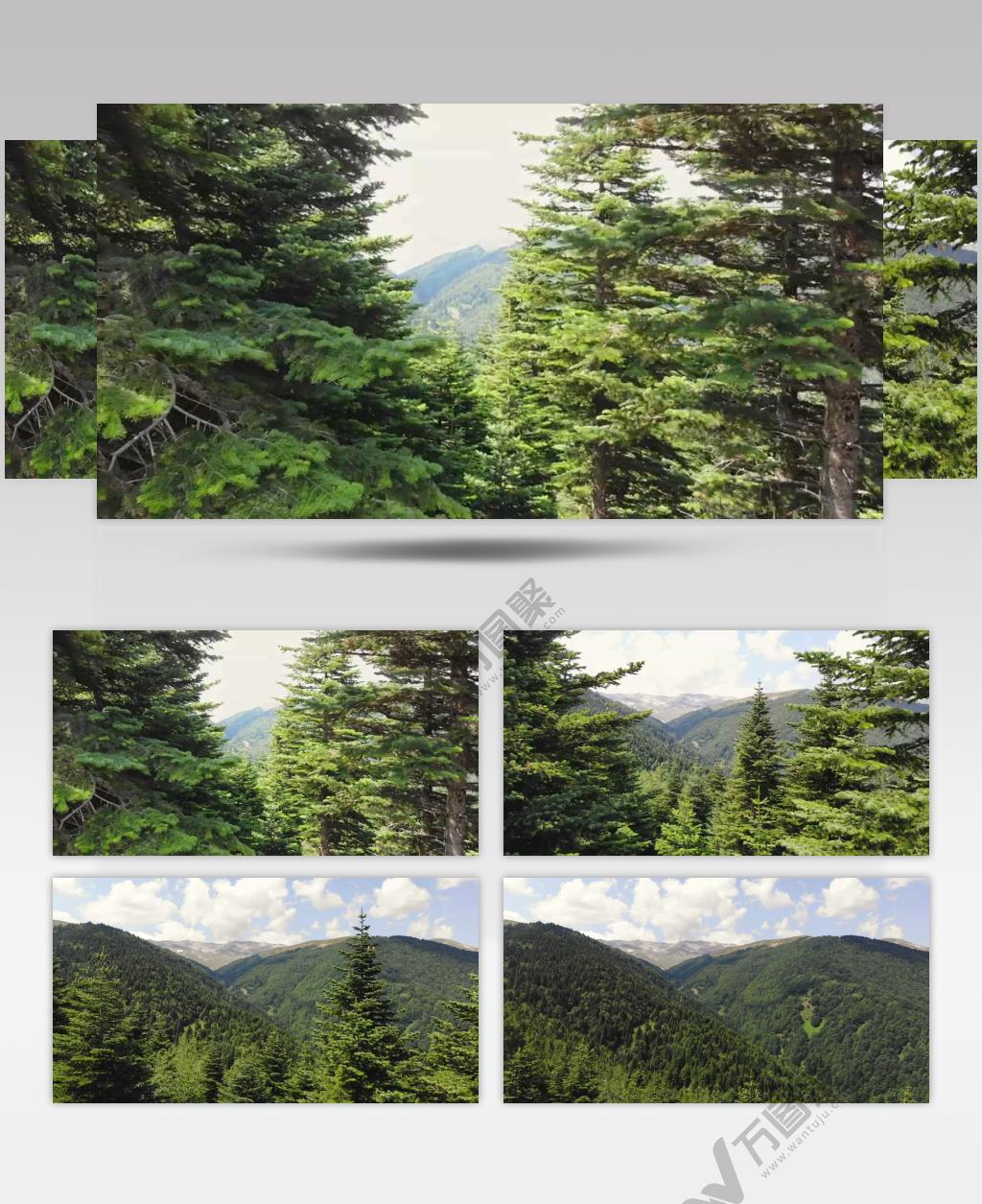 航拍山脉森林美景实拍视频