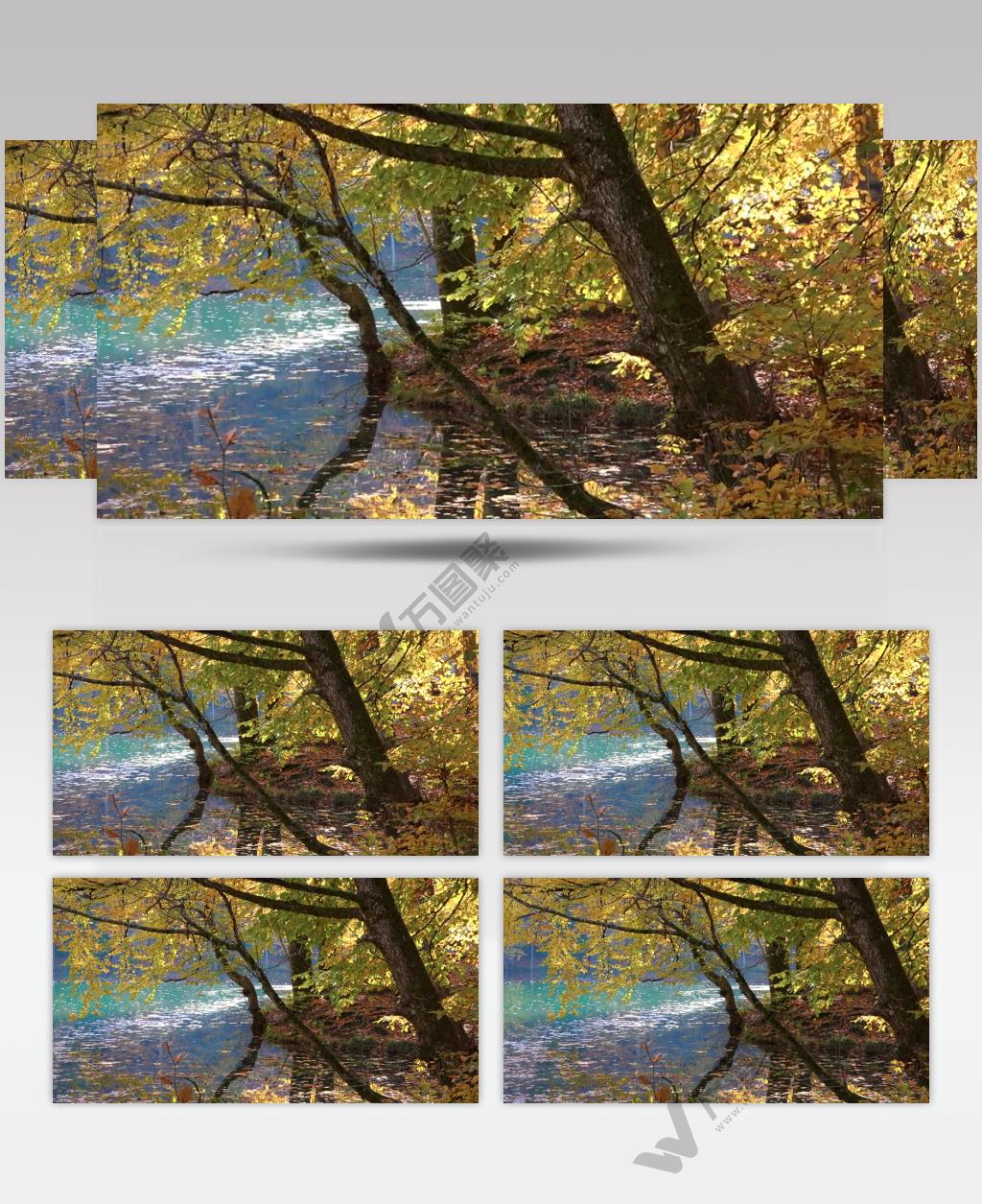 秋天季节的蓝色湖泊森林实拍视频