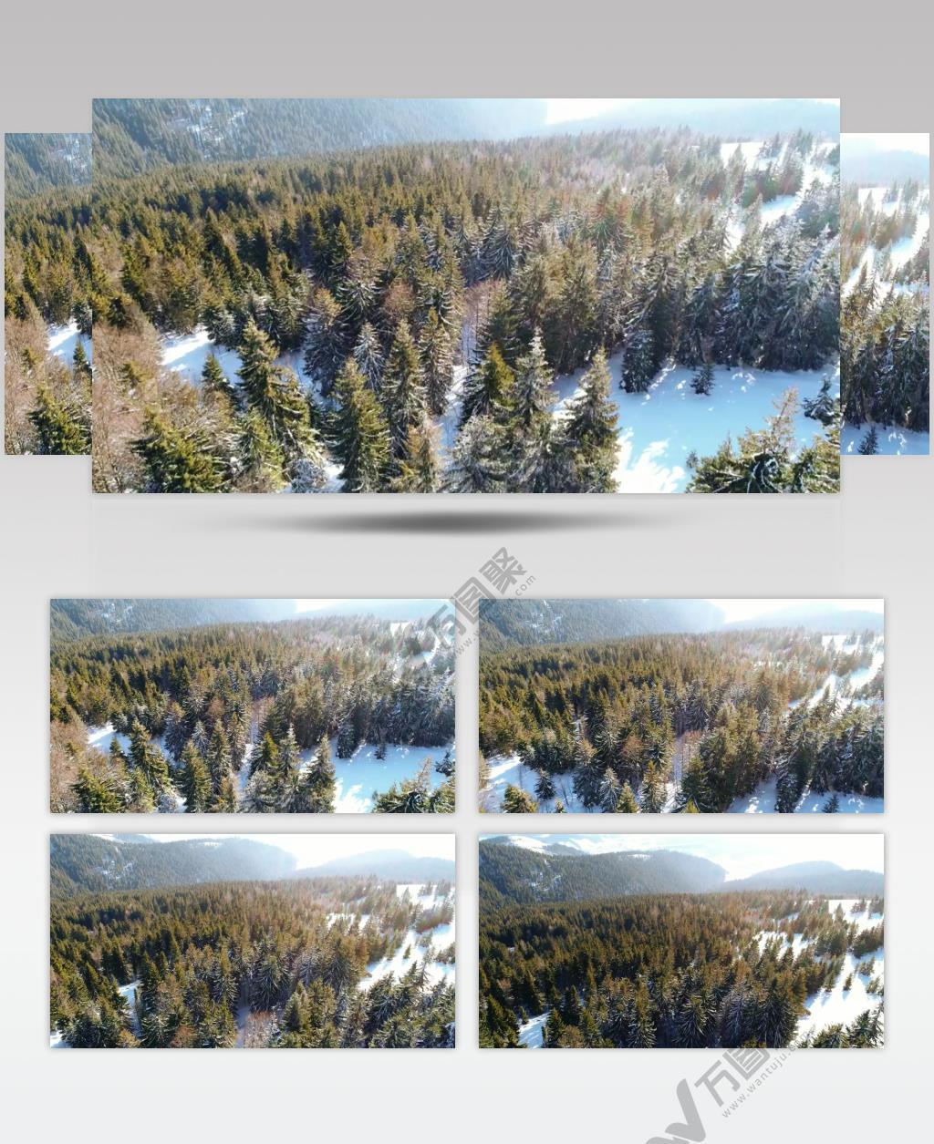 航拍冬季山脉森林美景实拍视频